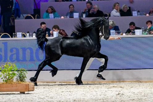 Raúl W. fan 'e Piksen (Auwert 514)